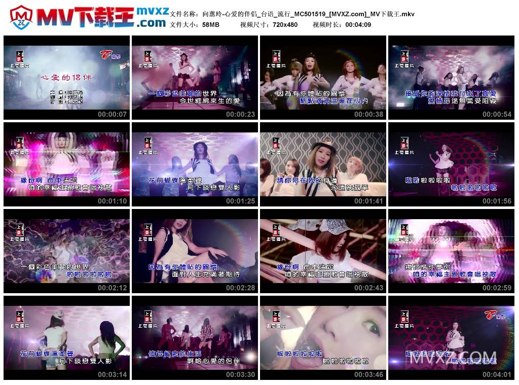 向蕙玲-心爱的伴侣_台语_流行_MC501519